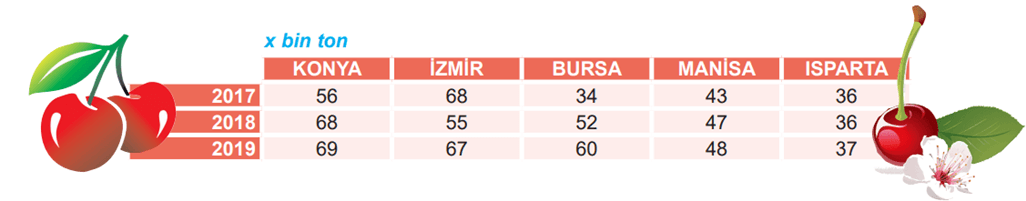 Grafik ve Tablo Yorumlama